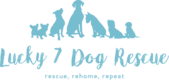lucky7dogrescue