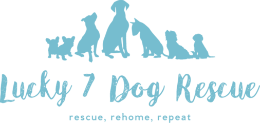 lucky7dogrescue