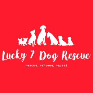 Lucky 7 Tie-Dye Shirt with Printed Logo Design